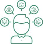 морозоустойчивые сорта