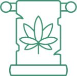 белые семена