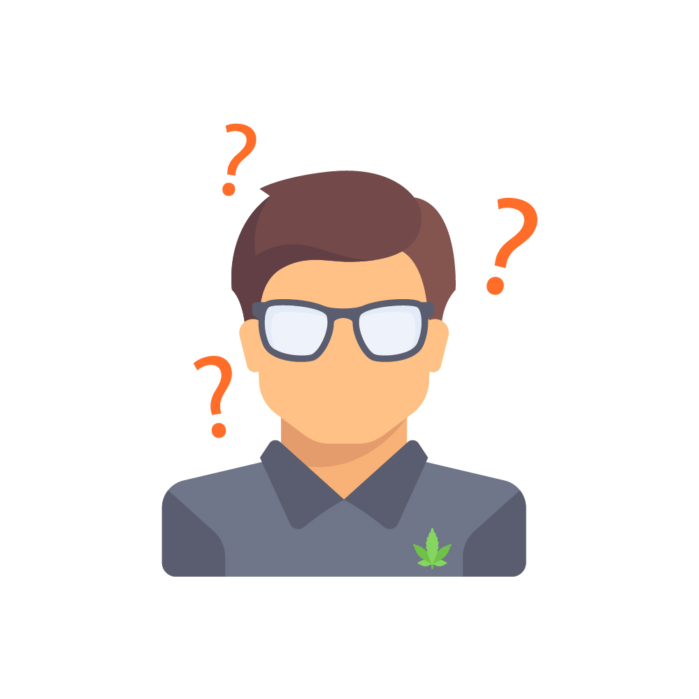 как вырастить канабис