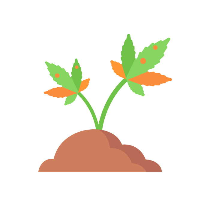 ожог конопли