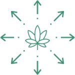 выращивание в гроубоксе