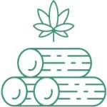 семя канопли урожайной