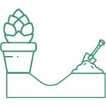 чем полезна