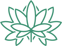 выращивание конопли на улице