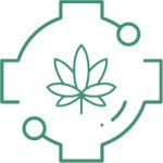 магазины семян