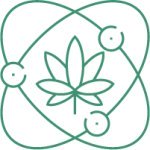 видео выращивания автоцветов