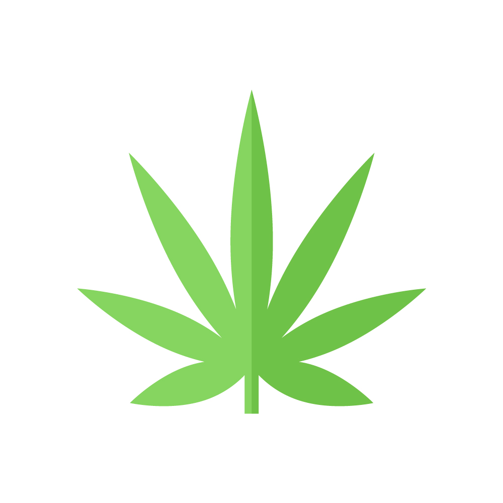 выращивание конопли на окне