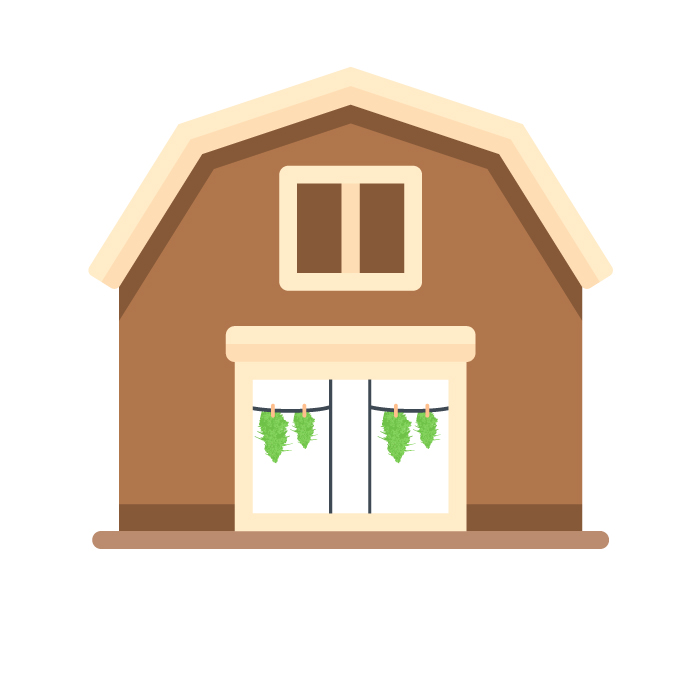 лучшие сорта конопли для улицы