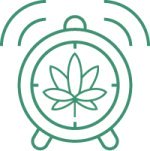 выращивание гидропоинки