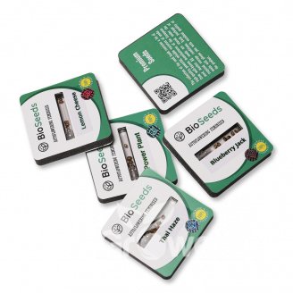 Семена конопли сорта Dos-Wi-Dos Auto Fem.