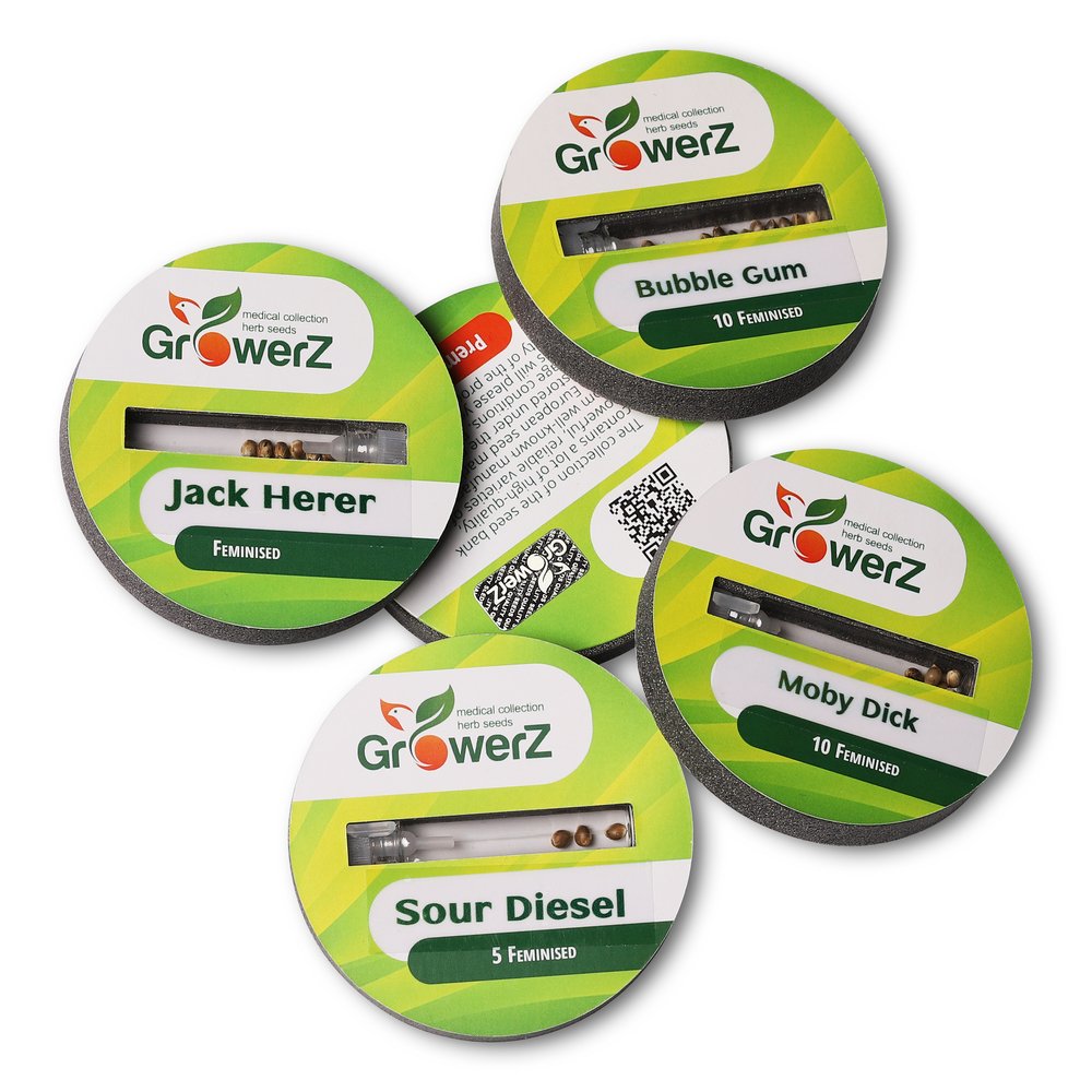 Семена конопли сорта LSD Fem. Семена конопли сорта LSD Fem.