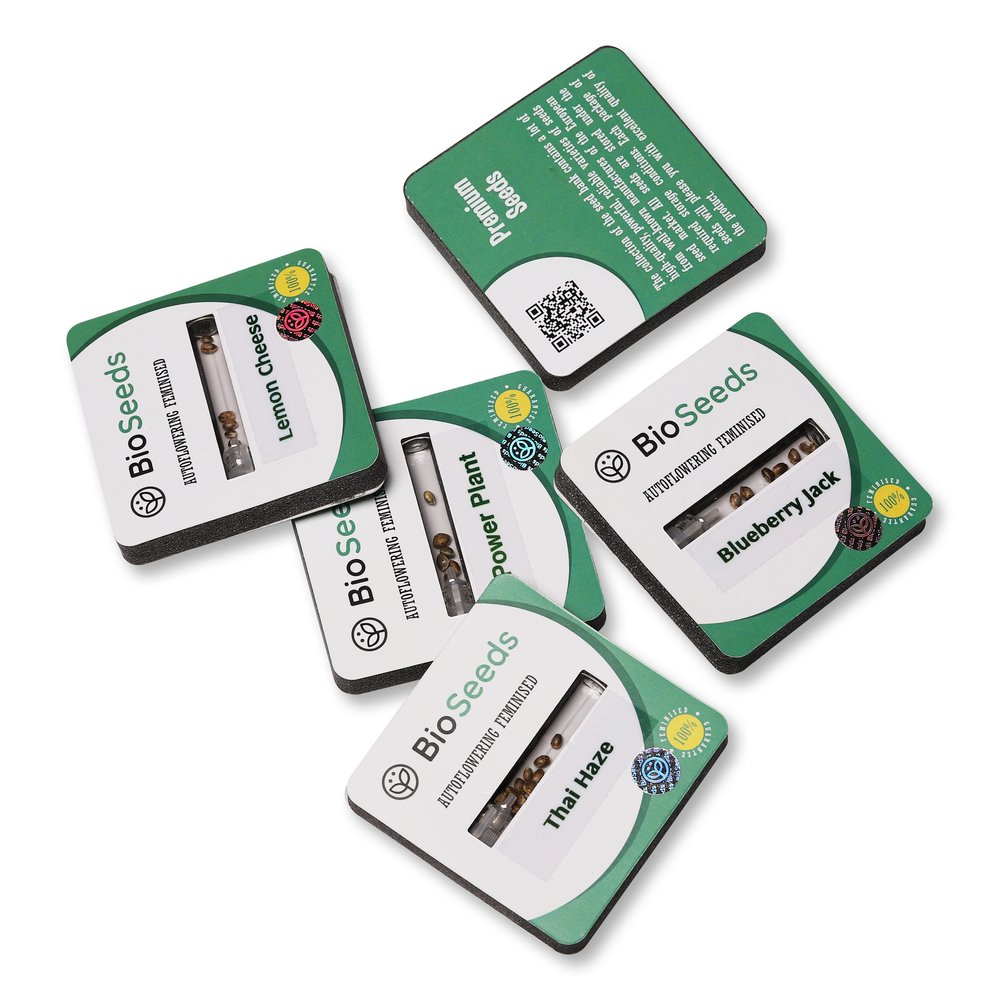 Семена конопли сорта Cheese Auto Fem. Семена конопли сорта Cheese Auto Fem.