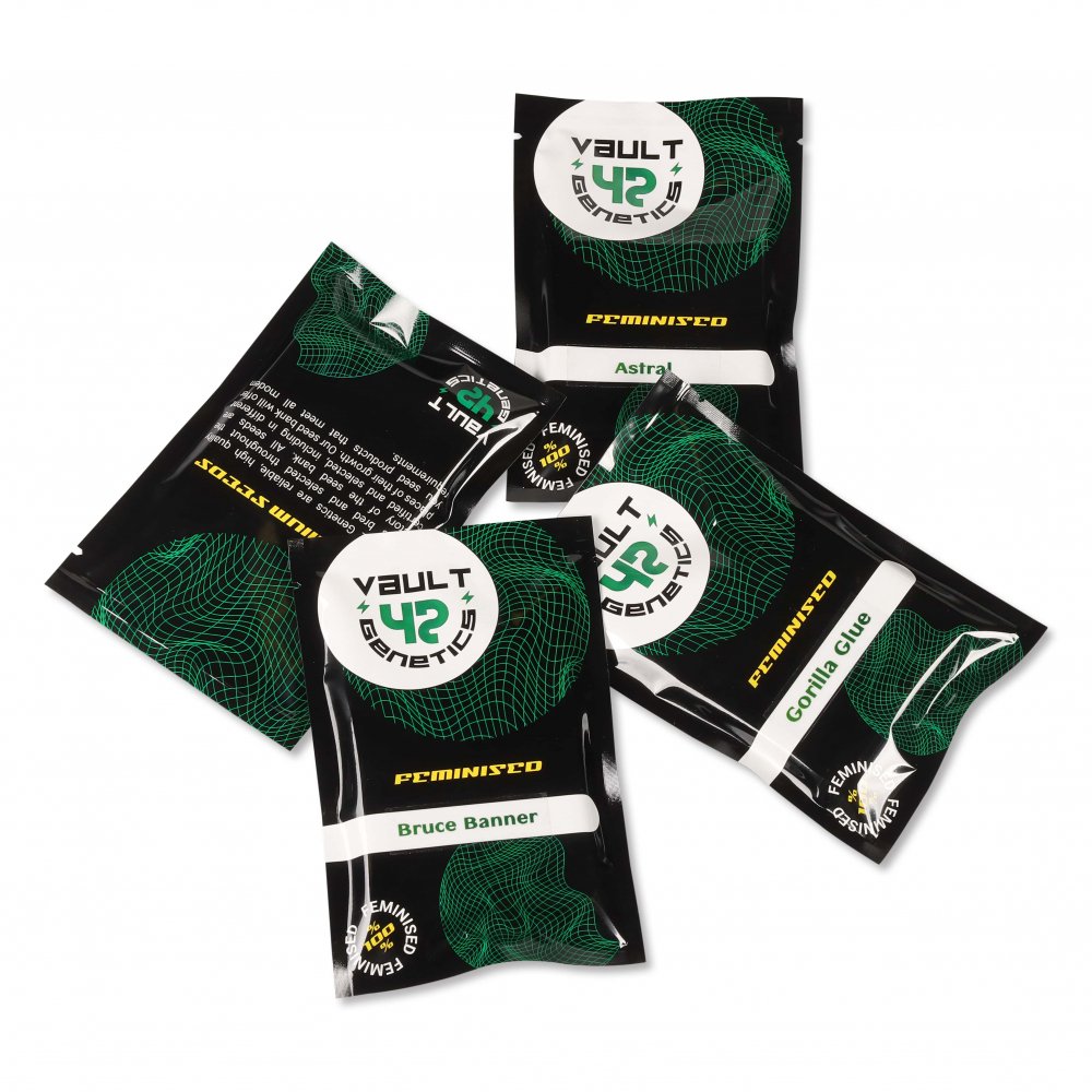 Семена конопли сорта Mimosa Shot Fem. Семена конопли сорта Mimosa Shot Fem.