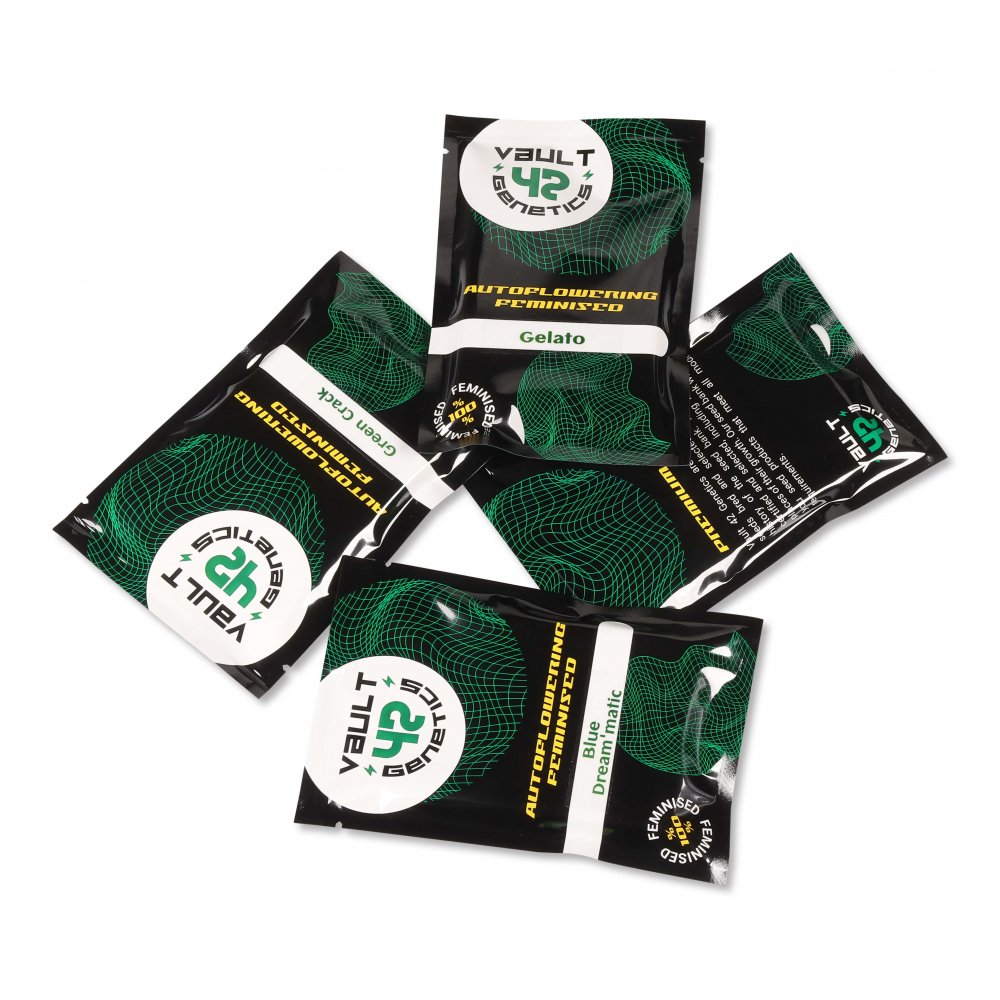 Семена конопли сорта Stardawg Auto Fem.