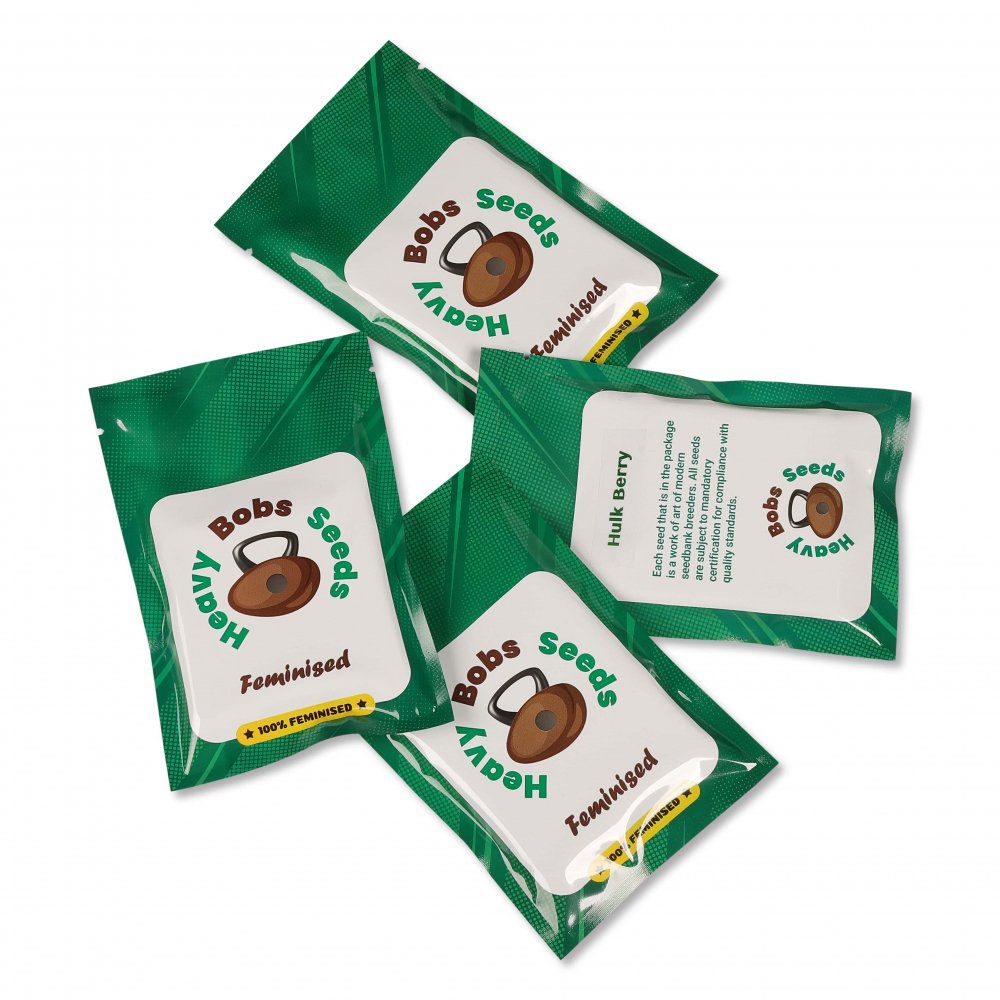 Семена конопли сорта Glue Sherbert Fem. Семена конопли сорта Glue Sherbert Fem.